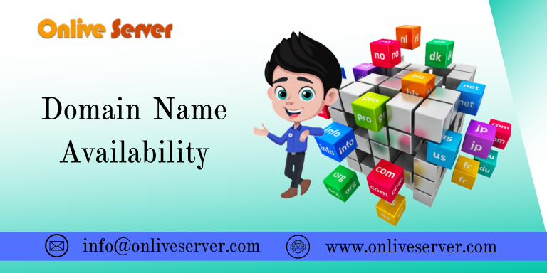 Domain Name Availability Check Easily and Get Support  Any time